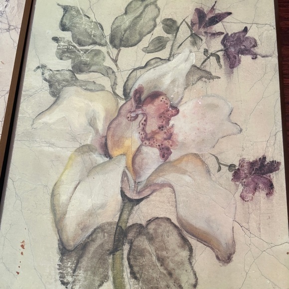 Beautiful botanical flower picture wall art with gold trim- 4 tiles - Picture 3 of 6